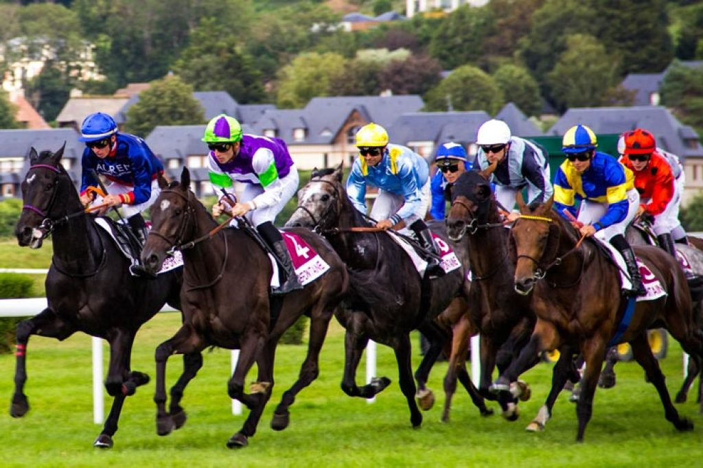 view melbourne cup live