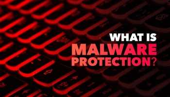 What Is Anti Malware Software? A Detailed Insight in 2024