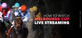 How to Watch Melbourne Cup Live Stream 2023